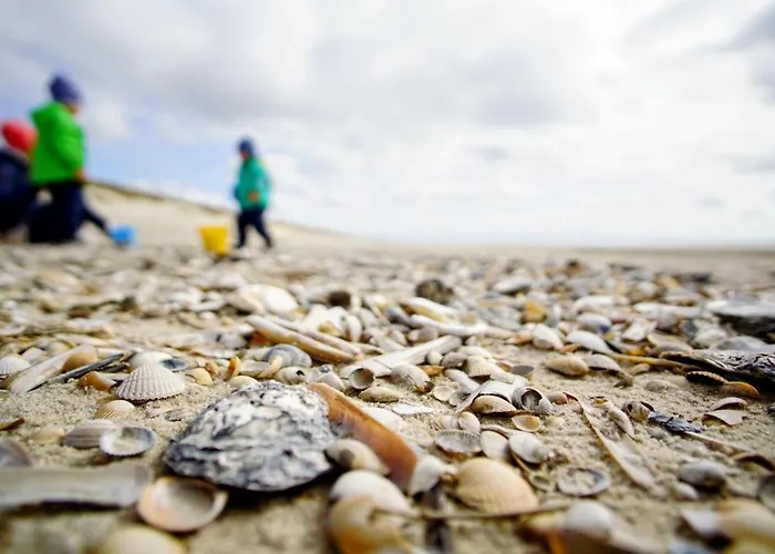 Jugendherberge Hoernum Hörnum